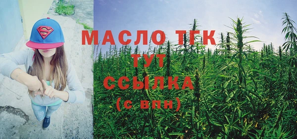 молекула духа Гусиноозёрск