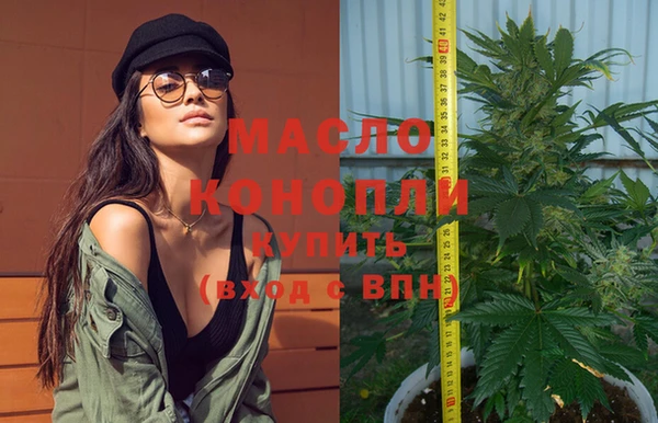 молекула духа Гусиноозёрск
