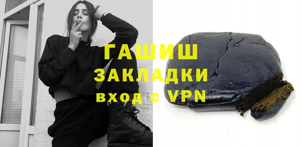 стаф Гусев