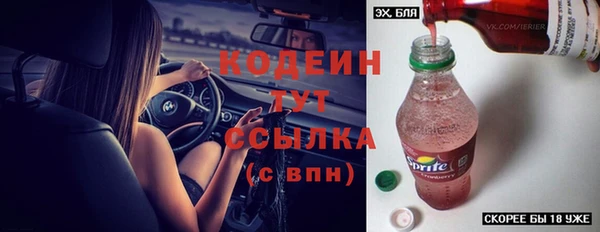 молекула духа Гусиноозёрск