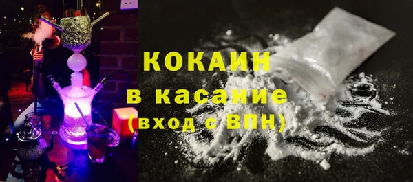 стаф Гусев