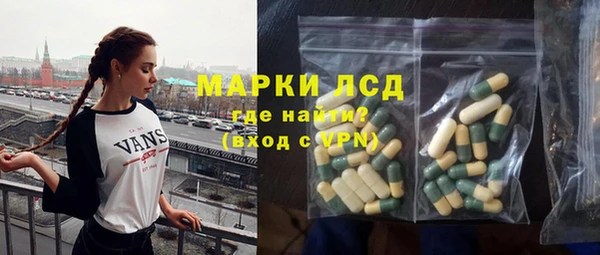стаф Гусев