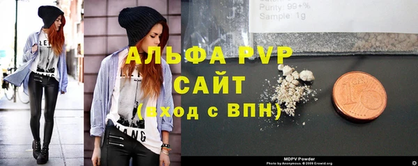 стаф Гусев
