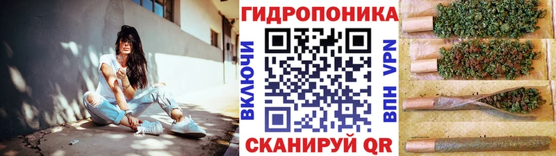 Бошки Шишки план  Купить закладки  Каргат 